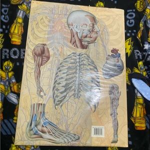 Anatomy Book